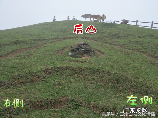 梧州有个什么强看风水的 梧州市风水