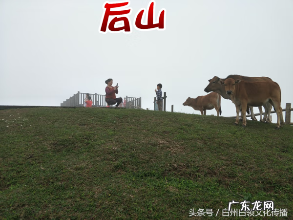 梧州有个什么强看风水的 梧州市风水