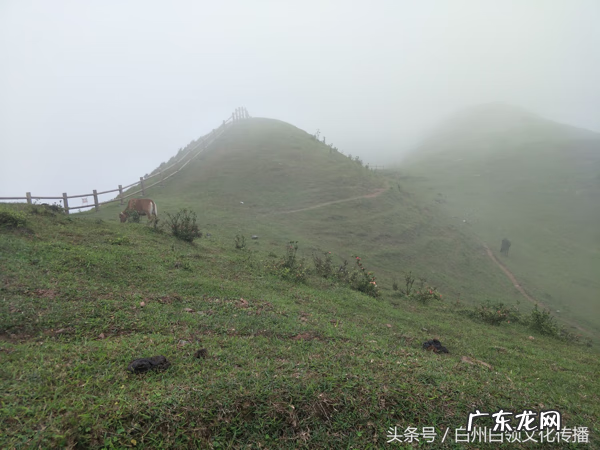 梧州有个什么强看风水的 梧州市风水