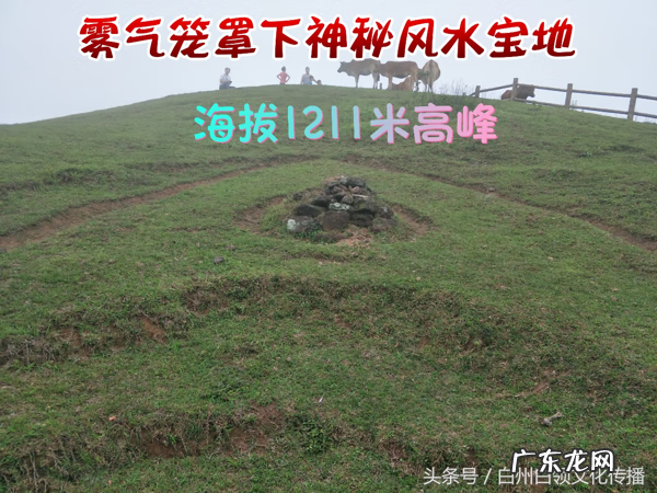 梧州有个什么强看风水的 梧州市风水