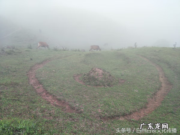 梧州有个什么强看风水的 梧州市风水