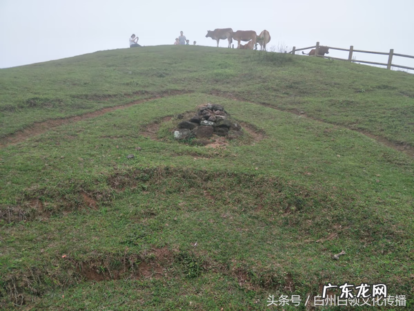 梧州有个什么强看风水的 梧州市风水