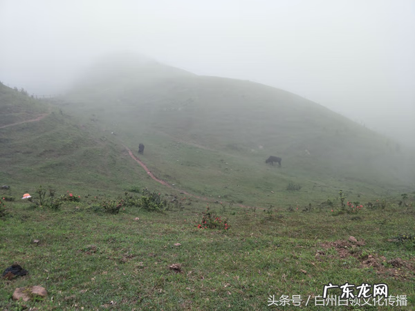 梧州有个什么强看风水的 梧州市风水