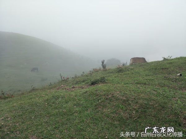 梧州有个什么强看风水的 梧州市风水