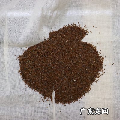 冰粉果 冰粉风水