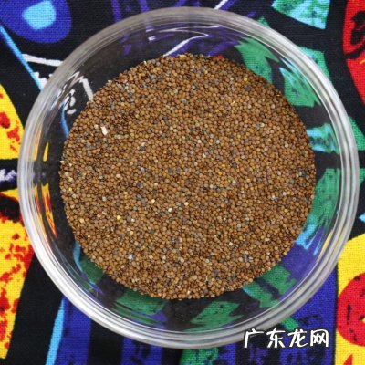 冰粉果 冰粉风水