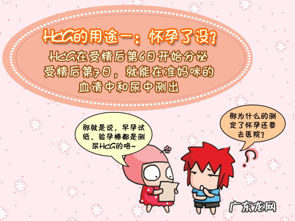 查血hcg是什么 hcg血检