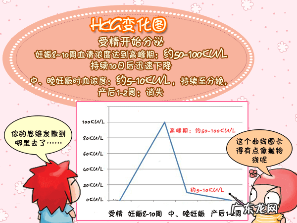 查血hcg是什么 hcg血检