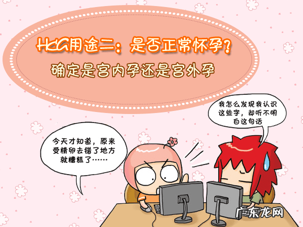 查血hcg是什么 hcg血检