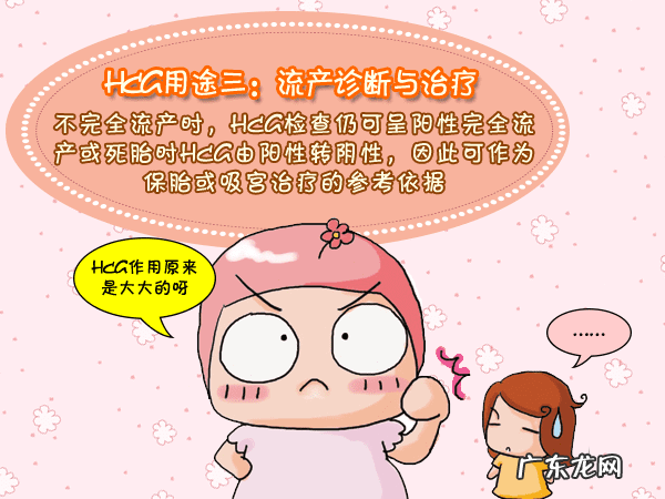 查血hcg是什么 hcg血检