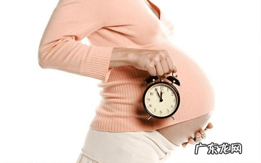 女性排卵期对照表 排卵期怎么算预产期计算器