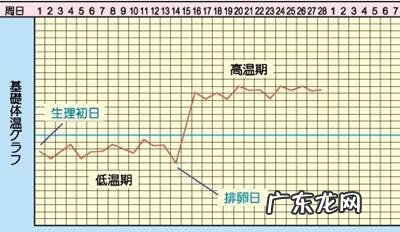 女性排卵期对照表 排卵期怎么算预产期计算器