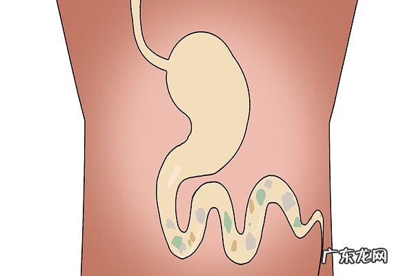 维生素b12有哪些功效 b12维生素的作用及功能用量