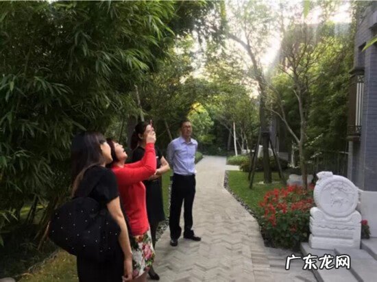 厦门有人看风水厉害的人吗 厦门看风水大师