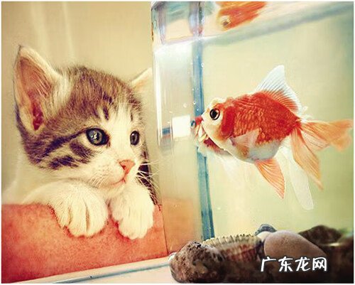 风水事业不顺怎么办 这些风水导致家庭事业不顺