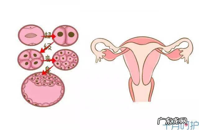 怎样受孕最快 如何能受孕