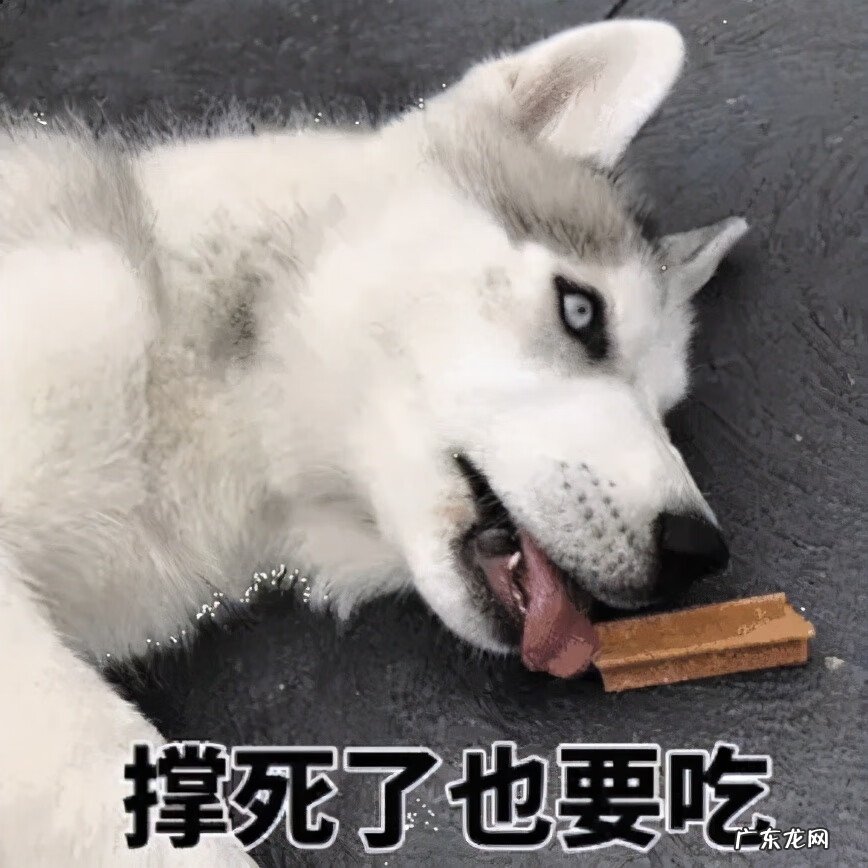 什么情况吃乳酸菌素片 乳酸菌素片能长期吃吗