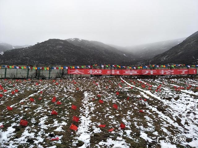 十大暴利养殖 虫草养殖公司