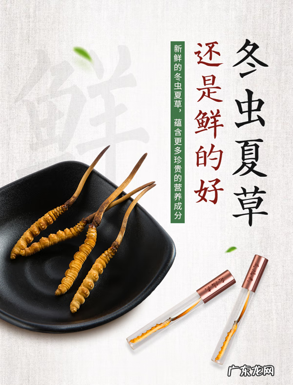 十大暴利养殖 虫草养殖公司