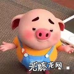 牛奶喝哪个牌子好 哪种牛奶最好喝