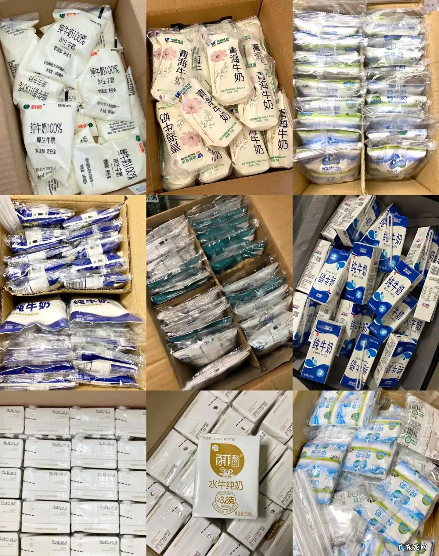 牛奶喝哪个牌子好 哪种牛奶最好喝