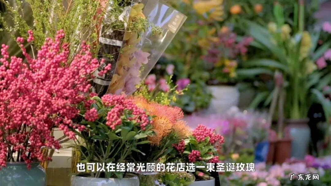 长宁古北什么小区比较好 长宁古北的风水