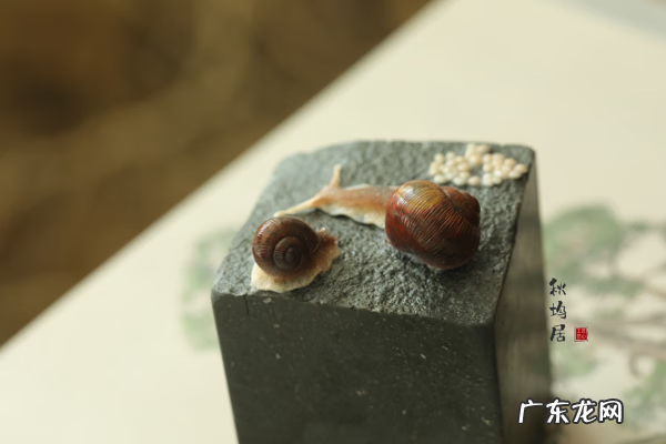蜗牛在风水学中的作用 蜗牛在风水中怎么说