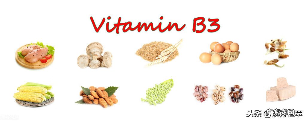 维生素b有什么作用及功能 维生素b的作用和功效