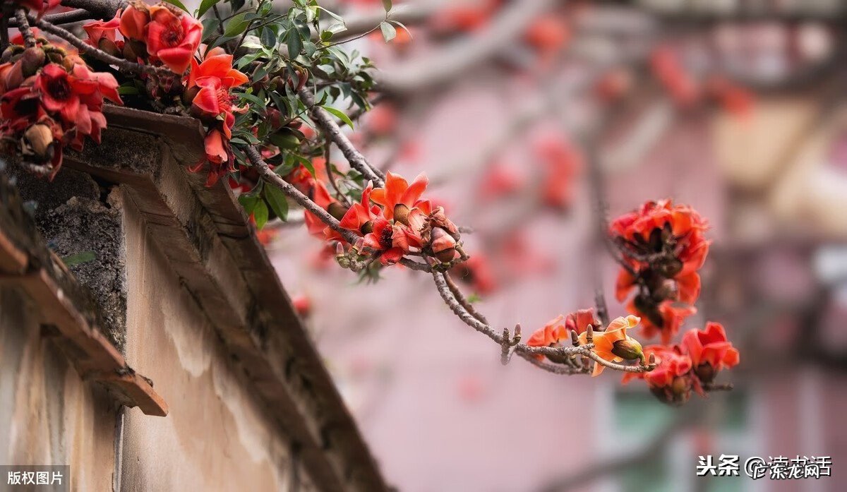 佛教相信风水吗 风水与信仰的关系