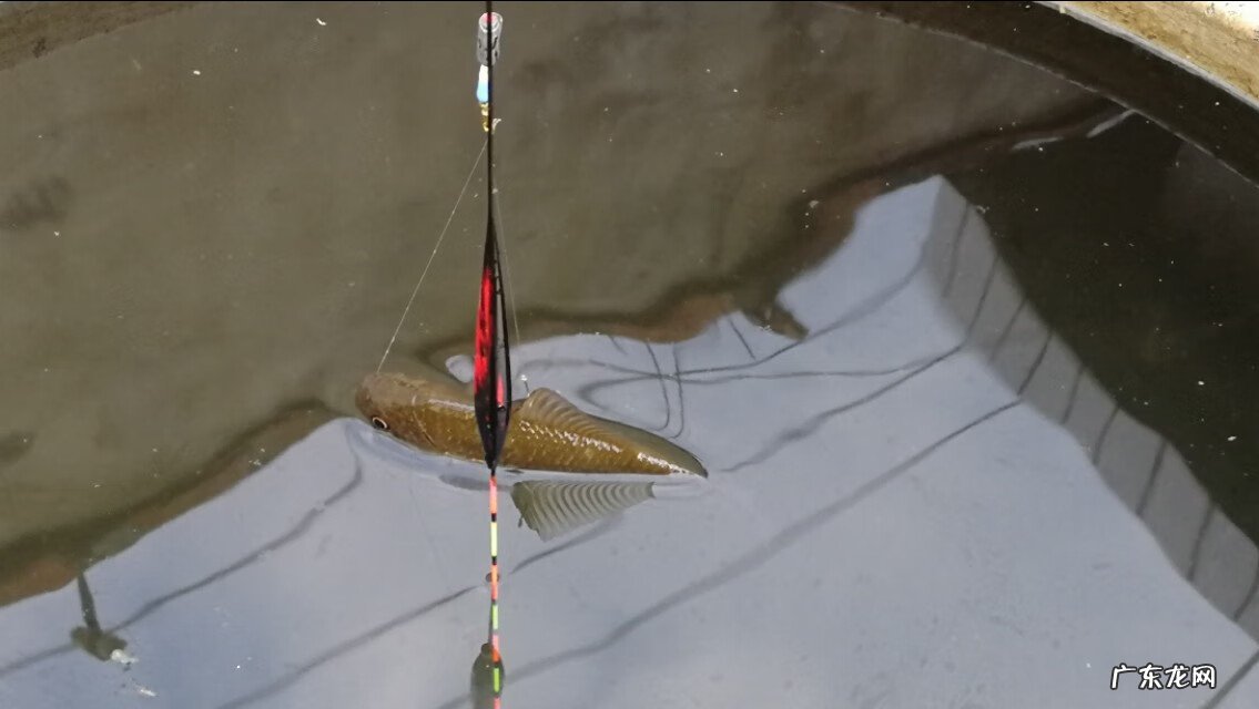 怎么解决走水走漂 走水走漂怎么办