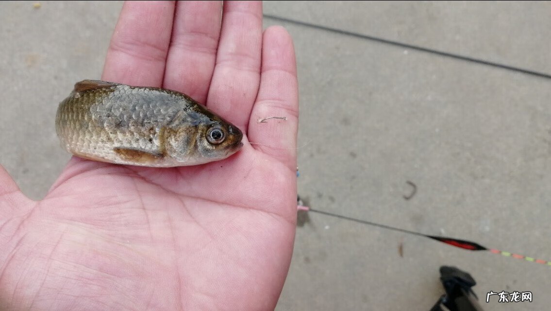 怎么解决走水走漂 走水走漂怎么办