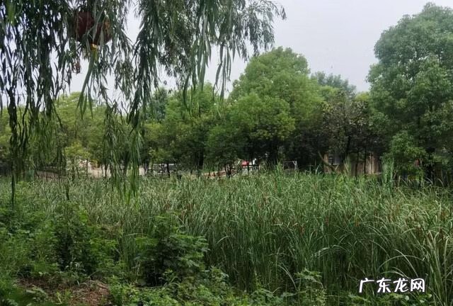 南阳龙脉风水故事 南阳九龙口的风水