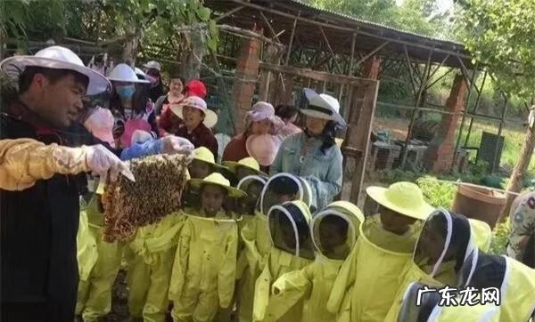 南阳龙脉风水故事 南阳九龙口的风水