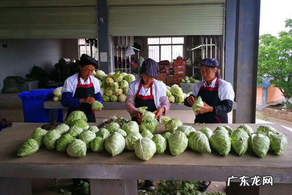 风水中的绝户坟 巧家包谷脑白坟风水学说
