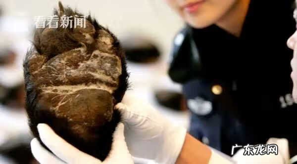 熊掌有卖的吗 熊掌的正常价格