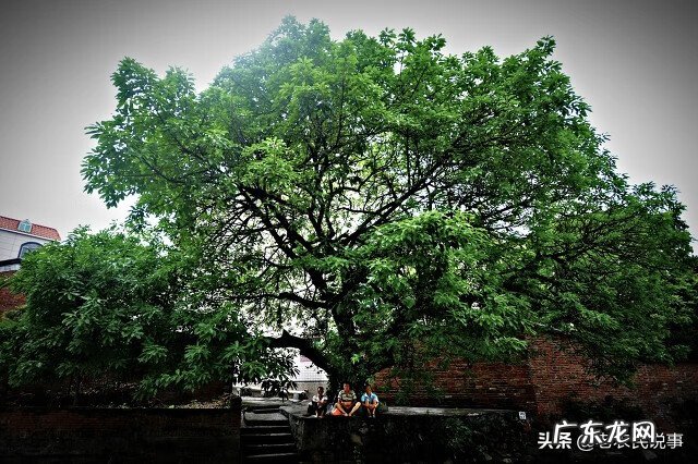 风水帘可以挂半截的吗 风水房后有个半截数