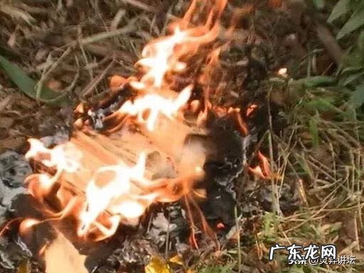 什么人才能占风水宝地 风水宝地能住活人吗