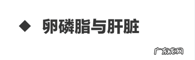 卵磷脂什么功效和作用 卵磷脂的功效与作用