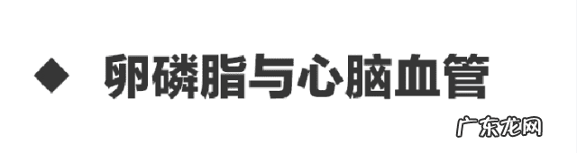 卵磷脂什么功效和作用 卵磷脂的功效与作用