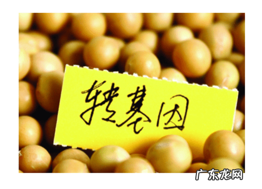 卵磷脂什么功效和作用 卵磷脂的功效与作用