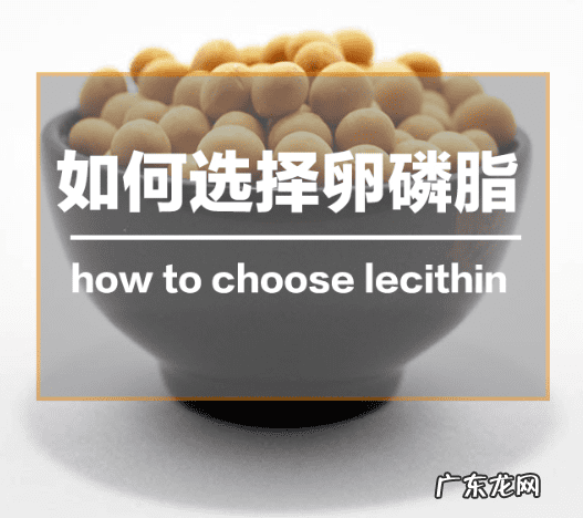 卵磷脂什么功效和作用 卵磷脂的功效与作用