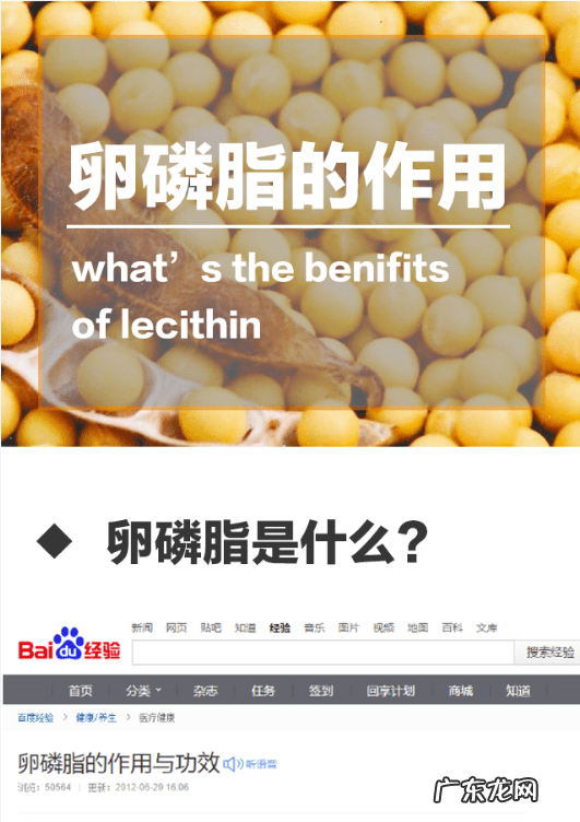 卵磷脂什么功效和作用 卵磷脂的功效与作用