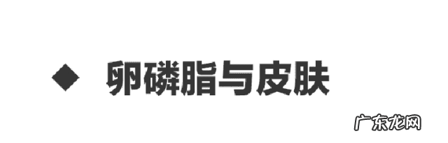 卵磷脂什么功效和作用 卵磷脂的功效与作用