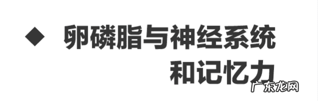 卵磷脂什么功效和作用 卵磷脂的功效与作用