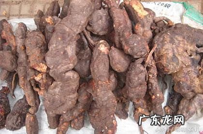 何首乌和什么搭配最佳 何首乌的正确吃法用量多少