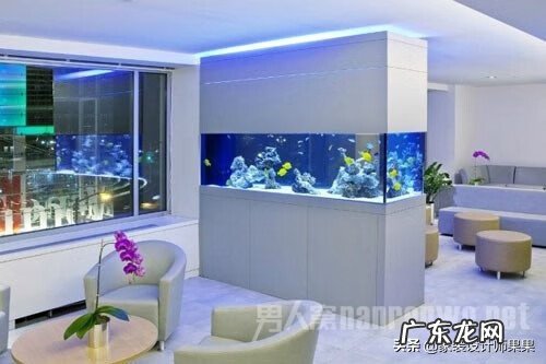 风水物件有哪些 风水中什么物件代表水