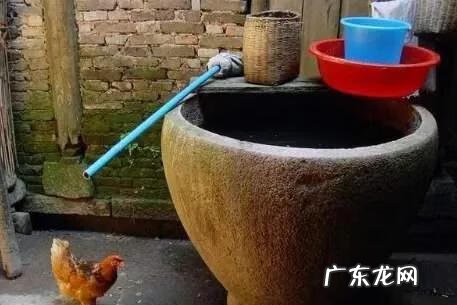 门口放植物影响风水吗 门上放柴火风水