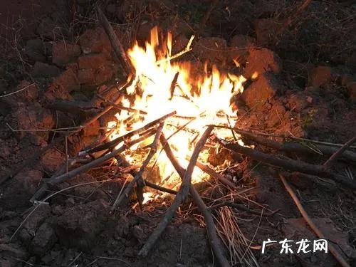 门口放植物影响风水吗 门上放柴火风水