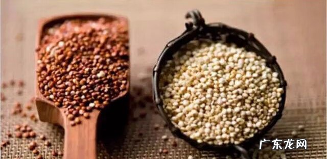 减肥一般晚上吃什么好 晚上吃什么减肥效果最好最快