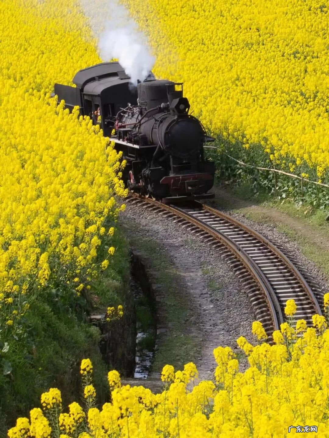 清明山 清明旅游景点